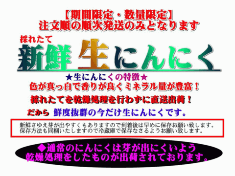 期間限定 採れたて新鮮！幻の「生にんにく」Lサイズ 訳あり 1kg