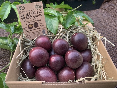 🌺販売中🌺\\ はじめましてセット //
【有機JAS認証】オーガニック芳醇パッションフルーツ/『ご家庭用1.2kg ¥3600→¥3000』/贈り物にも◎/芳醇な香り/濃厚な味わい！