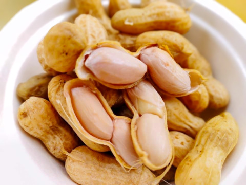 【十勝育ち】生落花生🥜茹でてホクホク甘味たっぷり 1kg(500g×2)セット