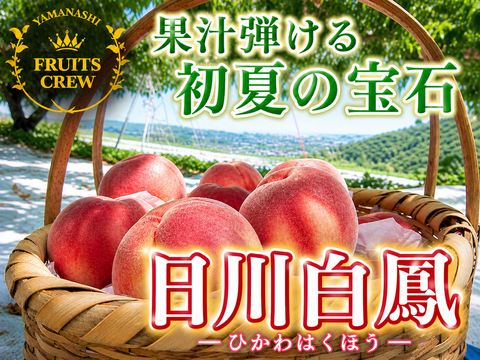 【果汁が弾ける初夏の宝石】日川白鳳🍑本場山梨の品種指定キャンペーン🍑朝どれジューシー桃☆贈答・ギフトにも最適🍑お試し約1㎏🍑6月中旬～発送開始