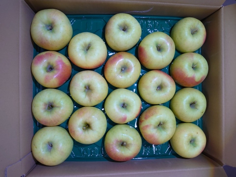 《うまい！》ぐんま名月　5kg（14個～18個）青森県産りんご　家庭用