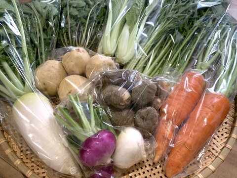【自然農】ももタケ『季節の野菜セット』肥料・農薬不使用、天地の恵み・露路栽培※少量多品目生産のため数量に限りがあります