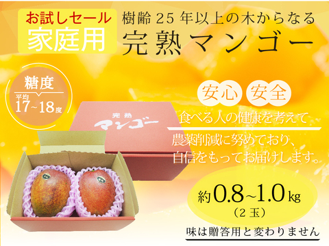 ★数量限定のお試しセール★【食べチョク限定：家庭用】樹齢25年以上の木からなる糖度約17～18度の完熟マンゴー（2玉：0.8kg～1kg）