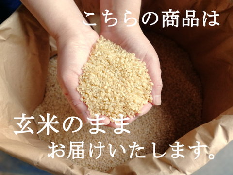 【玄米5kg】 農薬不使用米 信州産 こしひかり 令和3年産