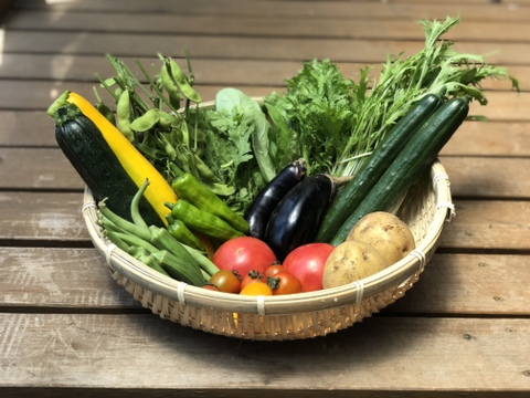 【栄養価が高い】しゅんセット(8〜10品目前後)