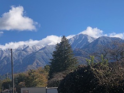 「福島菜　甘酢醤油漬け」450g入り　唐辛子入り1パック・唐辛子なし1パックセット