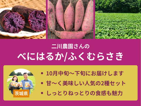 【限定200セット】さつまいも食べ比べ便（食べチョク公式）