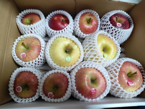 好評発送中🚚旬の青森りんご5種類食べ比べ🍎🍏訳ありご家庭用3kg 特別栽培りんご 低農薬  化学肥料不使用 希少品種が入るかも？詰合せ