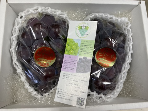 【特秀】岡山県産ピオーネ｜贈答用・大粒黒ぶどう1.0kg（500g×2）