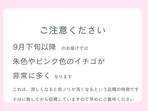 【子どもが喜ぶ夏イチゴ】と【濃厚!! 夏イチゴの甘酒『苺姫 無垢』】のセット!!  お歳暮・お祝い・お誕生日にオススメ