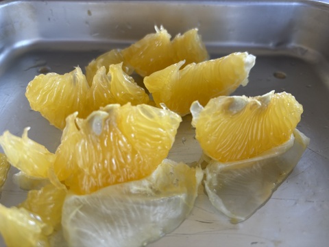 夏みかん　「昔ながらの爽やかで酸っぱい柑橘」9kg