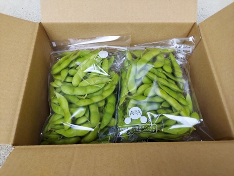 【期間限定】豊かな風味！温室育ちの枝豆『湯あがり娘』２５０ｇ✕６パック