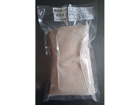 ジビエ　仔イノシシ【皮付き】　背ロースバラ　ブロック　510g