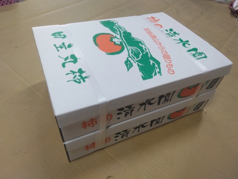 冷蔵柿（富有柿）12個入りⅬサイズｘ２箱
福岡県久留米市田主丸産