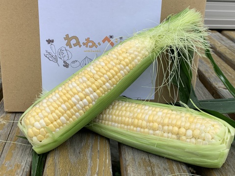 真夏の醍醐味😋淡路島産トウモロコシ🌽ドルチェドリーム🌈【10本➕2】
