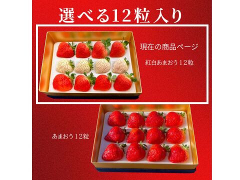 紅白極上あまおう400ｇ　～ベロアギフトボックス～【冬ギフト】