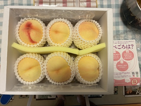 朝どれ】【ご自宅用】訳あり・清水白桃☆とろける果肉とたっぷり果汁の