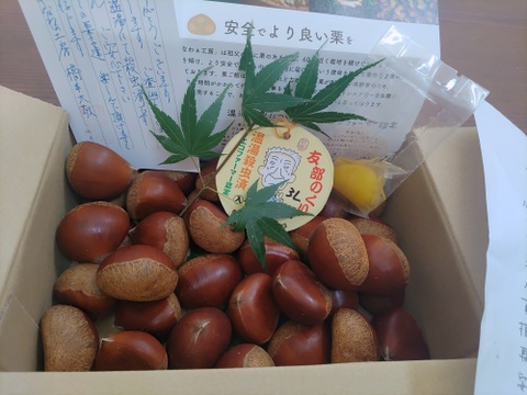 笠間の栗３Lサイズ×1kg（温湯殺虫済み）
