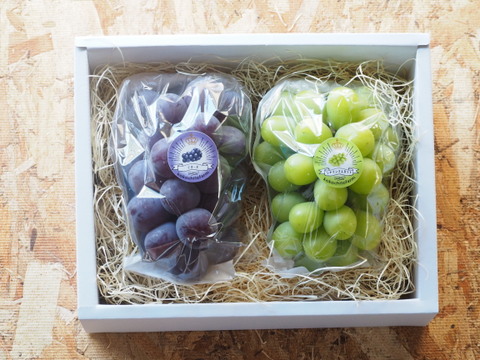 【敬老の日ギフト】9/11～9/15にお届け‼岡山県産『シャインマスカット＆ピオーネ』いろどりセット1.2kg