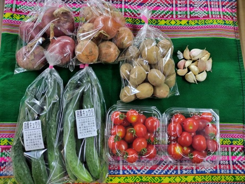 フードレスキュー 農園自慢の夏野菜セット4種・8袋☆パチャママ農園