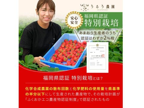 【お歳暮やギフトに】特選あまおう 800g【冬ギフト】