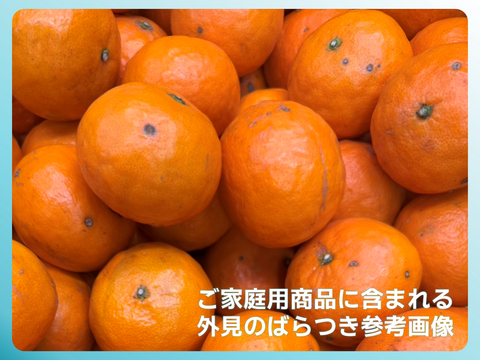 しっかり甘いのにさっぱり🍊ご家庭用 南津海【サイズ混合・5kg箱】