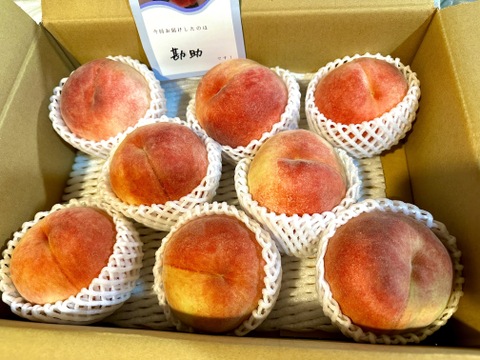 運命の出会い⁉️【67品種の桃を栽培】品種は何が届くかお楽しみ3㎏（5－10玉）8月発送