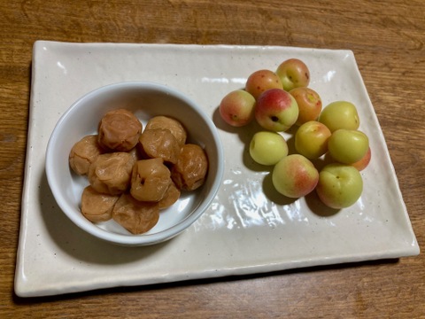 熟小梅　織姫　自然栽培　農薬・除草剤、化学・動物性肥料不使用　約２ｋｇ　一度は漬けてみたい小梅の梅干しに最適！★数量限定★