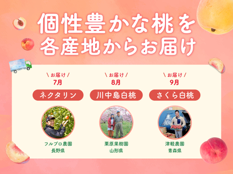【売り切れ】【限定300セット】3種の桃だより第3弾（食べチョク公式）