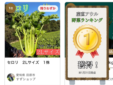 もうスーパーには戻れない！？本物のセロリ！