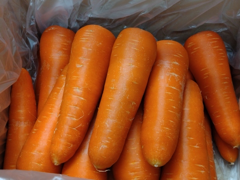 🧑‍🌾皮ごと食べれる❗️あま〜いさんぶにんじん🥕（4.5〜5kg）