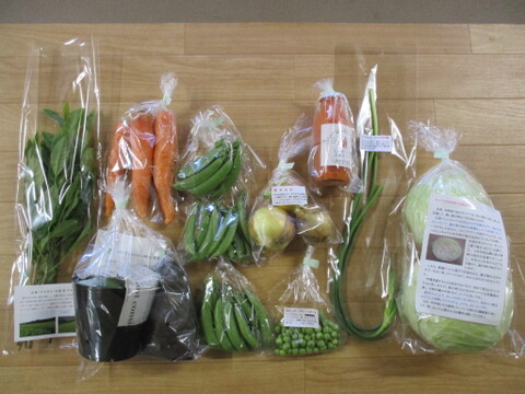 【5月限定】　有機野菜　Sセット　オーガニック 野菜 セット　しあわせ野菜畑