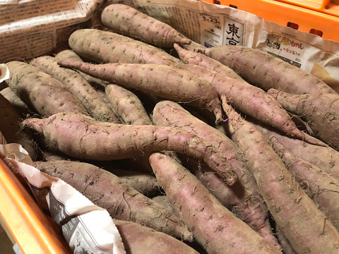 自然栽培さつまいも 紅あずま(3kg)