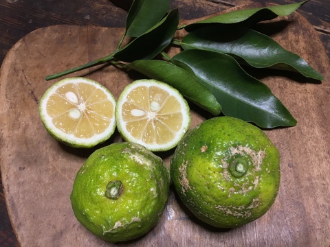 【農薬不使用】香酸系柑橘おまかせセット800g