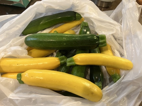 色鮮やか💛石垣島産ズッキーニ 不揃い7〜8本入り