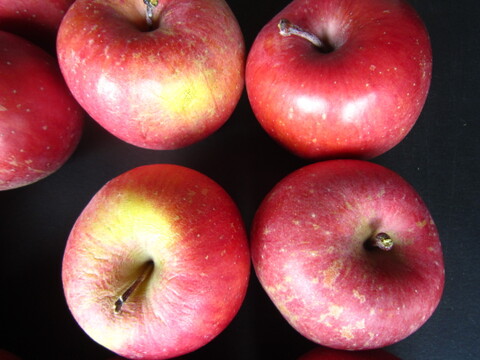 ★今季最終限定品★極小玉ミニチュアサイズ 🍎家庭用していただけると思います 総重量 約4.3kg以上 青森県 南部地方産 自家りんご農園生産直送品！