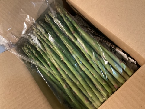 シャキシャキ！さぬきのめざめ秀品Mサイズ春芽1kg