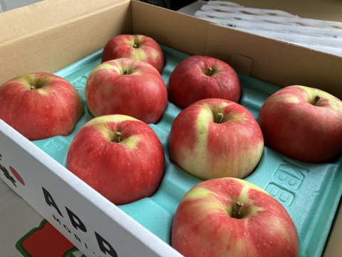 低農薬で皮ごとおいしい【旬の葉とらずりんご】3kg送ります！　品種おまかせ🍎