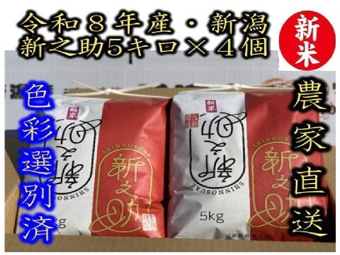 大粒で 粒感がありしっかりとした食感 冷めても固くなりにくい新米