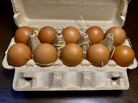 【あずさく🉐パック②】純国産鶏あずさ&さくら2種40個　青空のびのび飼育《富士の極卵》