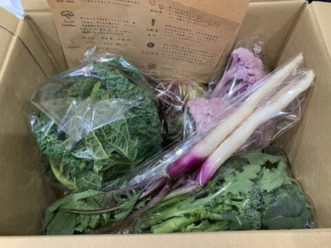 旅する畑から届く、季節の彩り野菜セット（7-8種類）