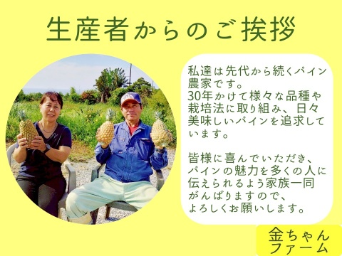 【豊潤極甘】黄金のパイン『ゴールドバレル』2玉（約2.0kg)