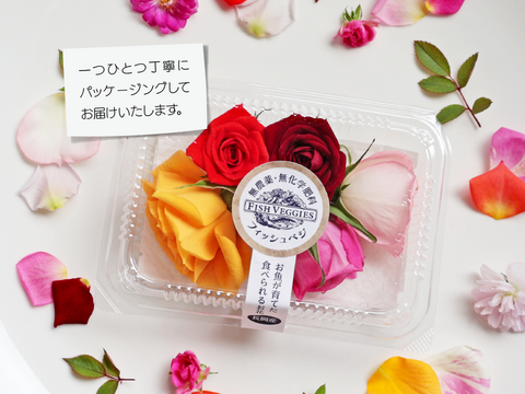 FISH VEGGIES／お魚が育てたお野菜　エディブルローズ【中輪】5輪