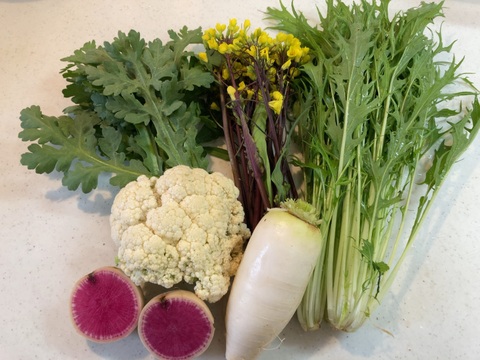 青島みかん１kgと旬の冬野菜の詰め合わせセット
