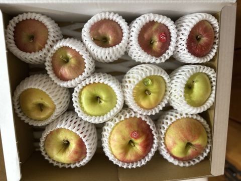 農薬半減・化学肥料不使用の特別栽培りんご3種食べ比べ🍎🍏 訳ありご家庭用 おまかせ3kg 青森県特別栽培認証取得 詰め合わせ　りんご食べ比べ