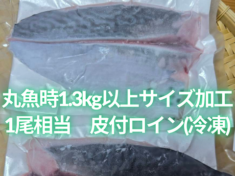 ﾓﾆﾀｰ価格　“媛スマ冷凍皮付ロイン(340g~390g)×4パック”【2尾相当/箱】