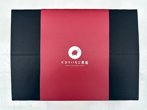 【ギフト・贈答用】とっても甘〜い大粒いちご！ぐんまが誇るやよいひめ！