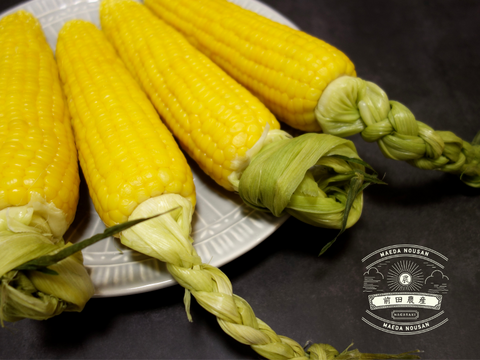 特上・高糖度スイーツコーン５kg　島原湧水育ち　甘いとうもろこし