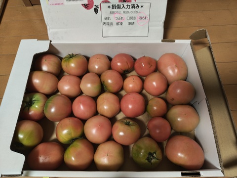 訳アリ特価✨】ふぞろい大玉トマト 4㎏箱：高知県産のその他トマト