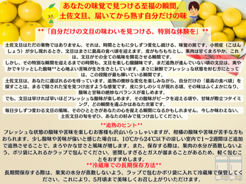 土佐文旦 ぶんたん ブンタン 高知 訳あり 家庭用 大小混合 7kg【日本ギフト大賞受賞】 園主こだわり土佐文旦【予約早割10％OFF】（2025年2月1日発送開始 ）みかん 国産みかん 果物 柑橘